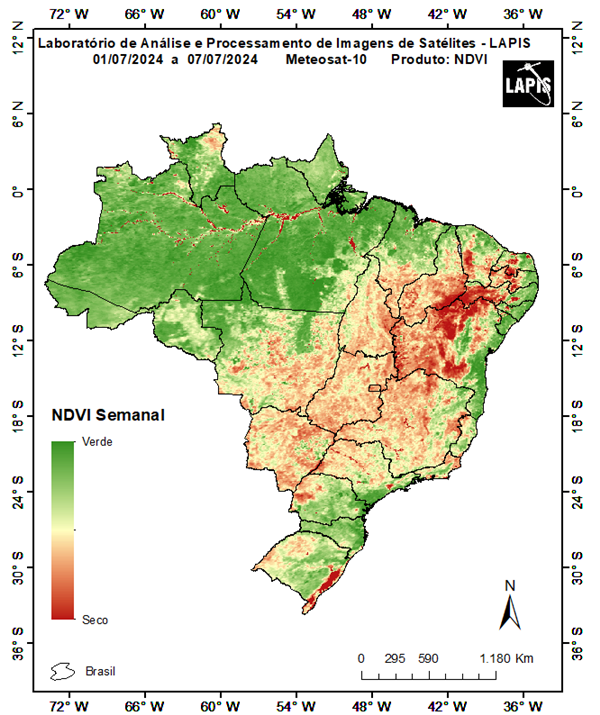 Mapa da cobertura vegetal_QGIS