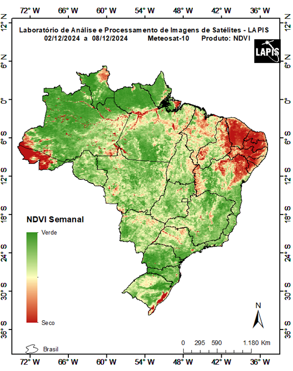 Mapa da cobertura vegetal_QGIS