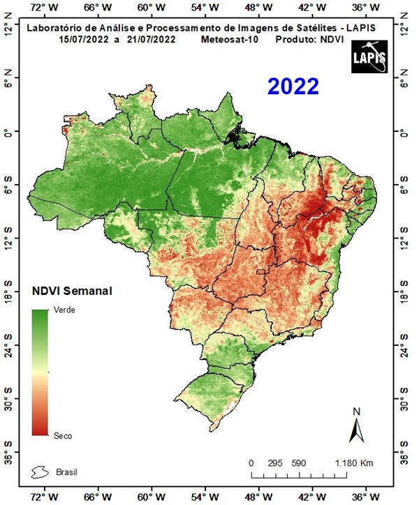 Mapa da cobertura vegetal_QGIS_2022