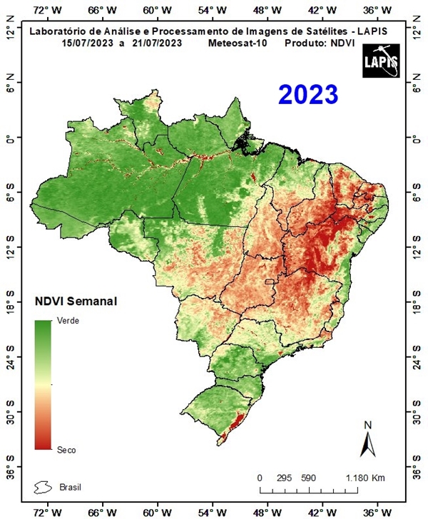 Mapa da cobertura vegetal_QGIS_2023