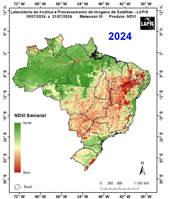 Mapa da cobertura vegetal_QGIS_2024