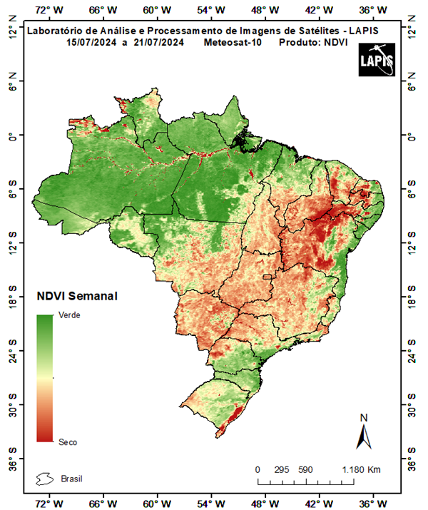 Mapa da coertura vegetal.QGIS