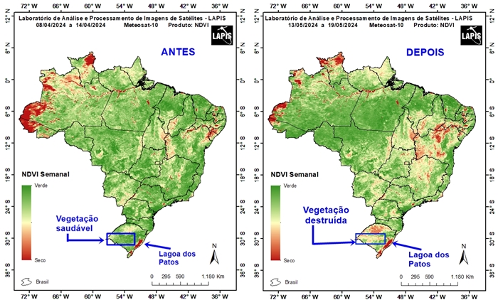 Mapas da cobertura vegetal no Rio Grande do Sul_QGIS