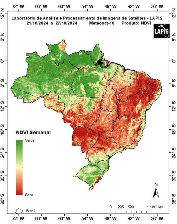 Seca_mapa da cobertura vegetal Amazônia